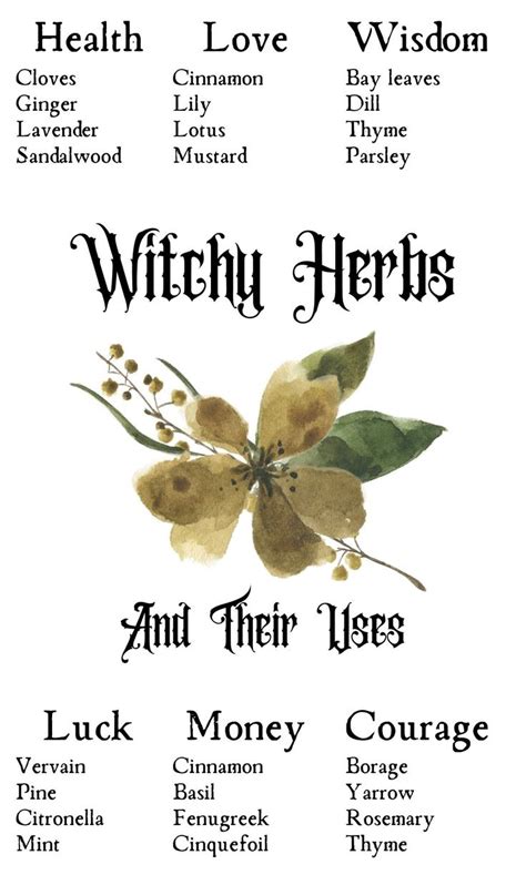 Eclectic witchcraft guides